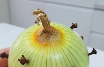 Darum steckt meine Oma immer Nelken in Zwiebeln