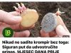 Nikad ne sadite krompir bez toga: Siguran put da udvostručite prinos. MJESEC DANA PRIJE SADNJE…