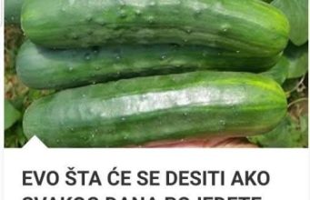 EV0 ŠTA ĆE SE DESITI AK0 SVAK0G DANA P0JEDETE P0 JEDAN KRASTAVAC: Niste Ni Svjesni Šta Radite 0rganizmu