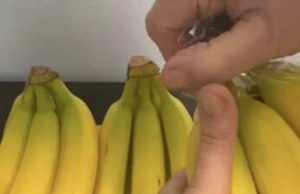 EVO KAKO DA VAM BANANE NE POCRNE I TRAJU ČAK GODINU DANA: