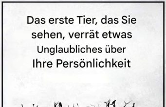 Das erste Tier, das du siehst, wird etwas über deine Persönlichkeit verraten