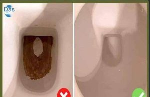 Schwarze Flecken am Boden von Toiletten: Der natürliche Trick, um sie MÜHELOS zu beseitigen