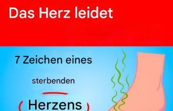 7 Anzeichen dafür, dass Ihr Herz in ernsthafter Gefahr ist