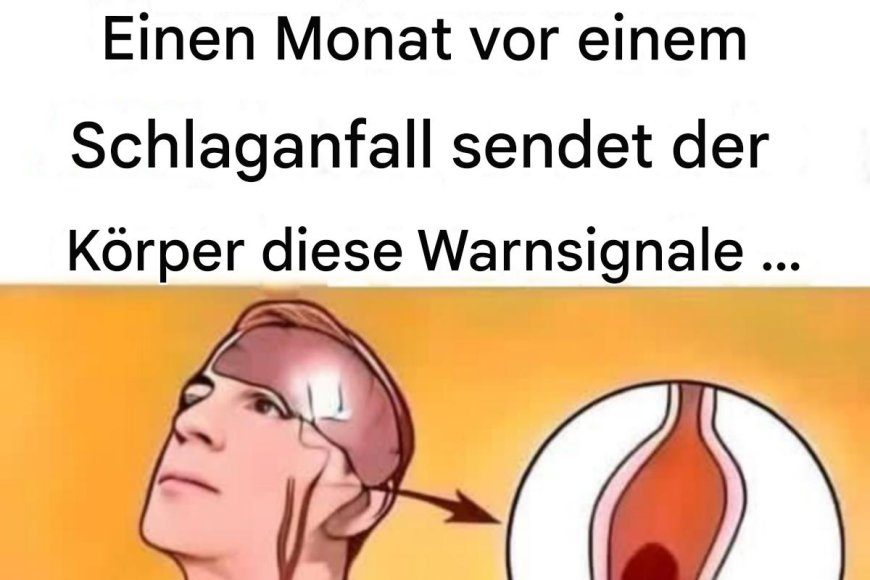 image_870x_683169983e59a