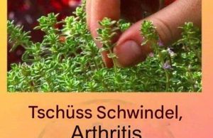 Dies ist ein echter „Tee Gottes“, da er Arthritis, Lupus, Schwindel, Schilddrüsenprobleme und chronische Müdigkeit behandelt