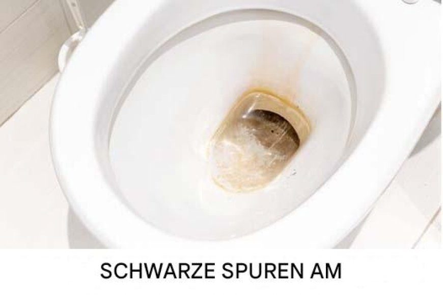 image_870x_68bc063268a00