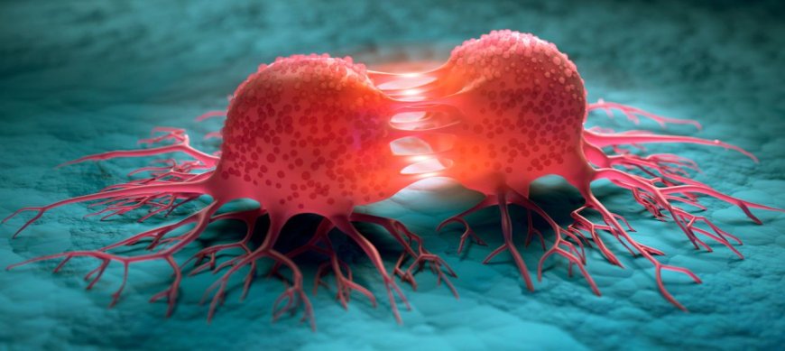 image_870x_690d808b6acc9