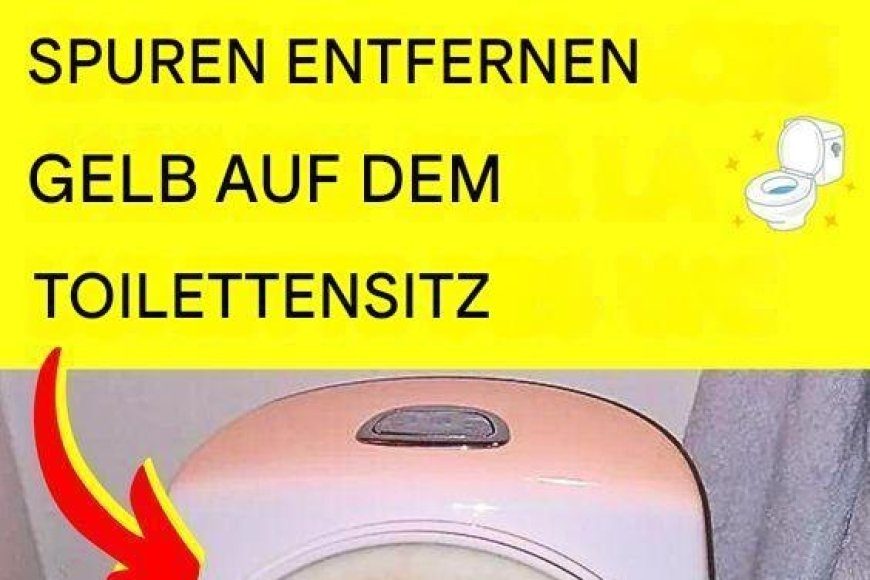 image_870x_690f97d5f2a61