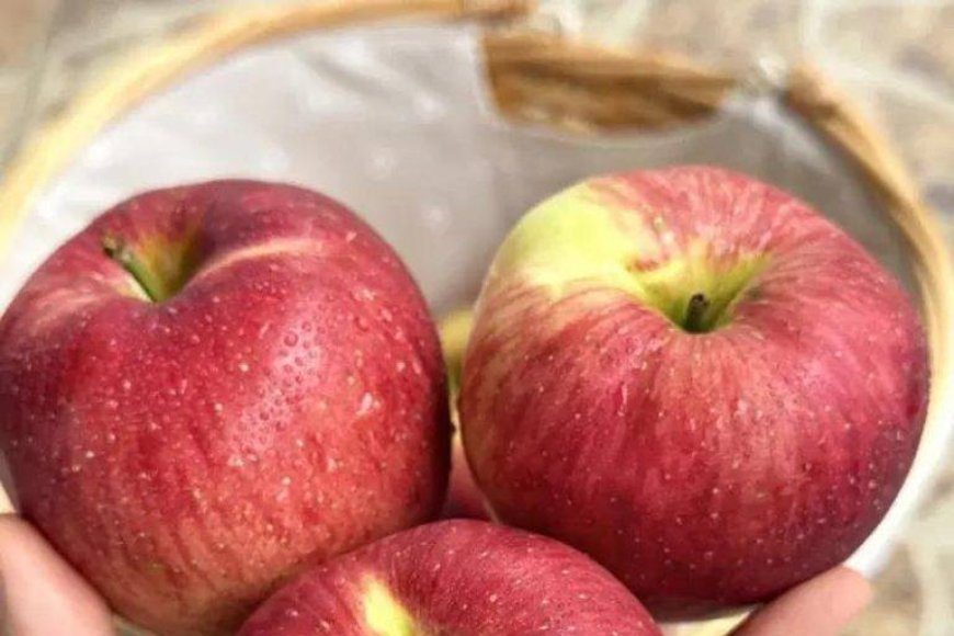 image_870x_69149e1d1b73d