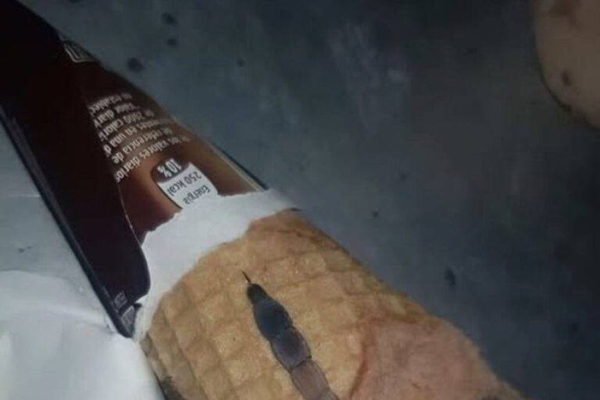 image_870x_6921c6982e9ef